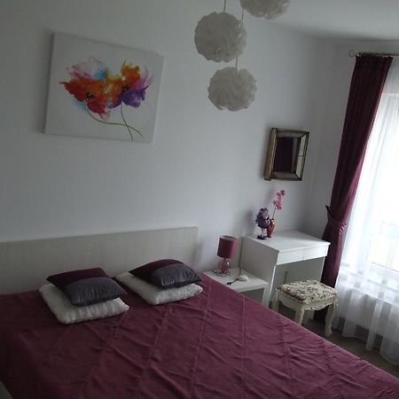 Anca Apartment Brașov Exterior foto